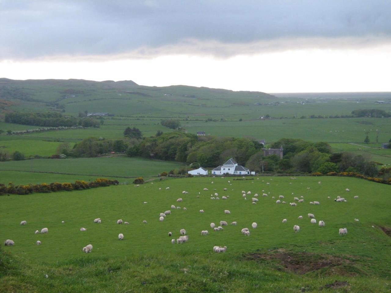 كامبيلتاون Kilchrist Castle Cottages المظهر الخارجي الصورة